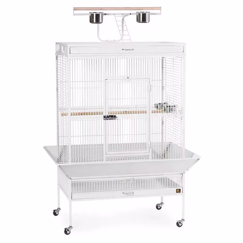 Wrought Iron Select Bird Cage 3154C, Chalk White, 36-Inch by 24-Inch by 66-Inch