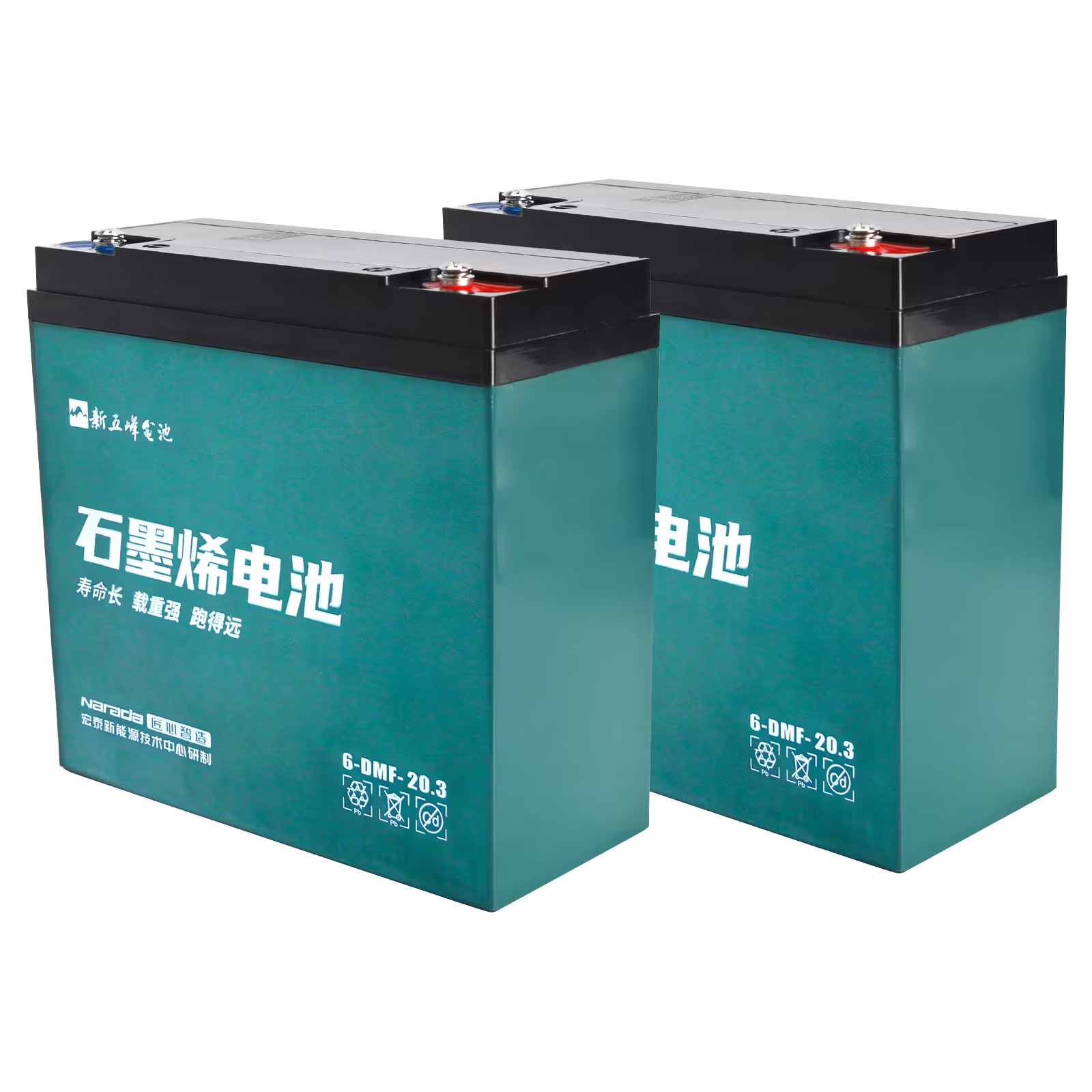 2 Pack 12V 20ah Battery 6 - DMF - 20 Sealed Lead Acid Battery 6 - DZM - 20 for 24V 20ah Mobility Scooter Electric Go Kart E Bike Motorcycle Golf Carts Electric Wheelchair ATV UTV Generator