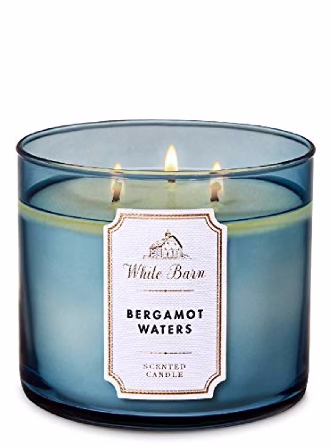 Bath & Body Works Accents | Bergamot Waters Candle | Color: Blue | Size: Os | Chicgeek18's Closet