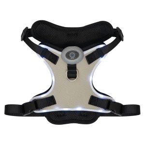 Heart To Tail Beige LED Dog Harness – M