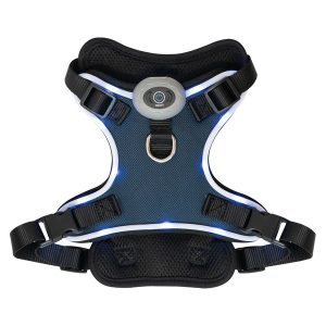 Heart To Tail LED Dog Harness, Blue, Medium