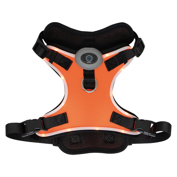 Heart To Tail Orange LED Dog Harness – M