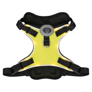 Heart To Tail Yellow LED Dog Harness – L