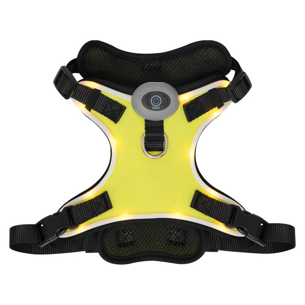 Heart To Tail Yellow LED Dog Harness – S